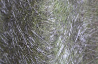 Arley Green fibreglass roof work